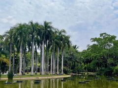 -中国科学院西双版纳热带植物园