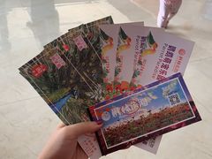 -枫林花海