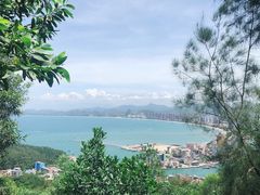 -广东惠东海龟国家级自然保护区