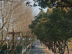-宜兴龙背山森林公园