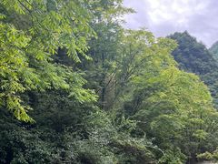 -天生桥景区