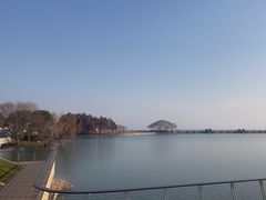 -贡湖湾湿地公园