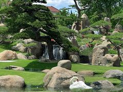 -罗红摄影艺术馆