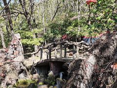 -黄椅山火山森林公园