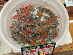 -御唐府海珊瑚主题餐厅