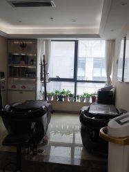 -碧莲盛·不剃发植发