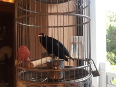 -杭州香格里拉·香宫中餐厅