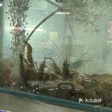 老广美食在番禺