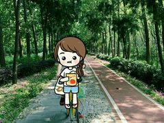 -合肥滨湖国家森林公园