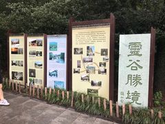 -灵谷景区