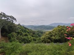 -广州市帽峰山景区