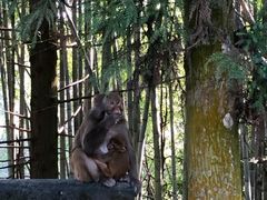 -重庆雨台山风景区