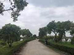 -大湾区中央湿地公园