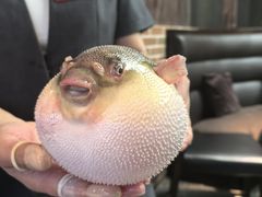 -永安鱼庄·镇江菜(东吴路店)