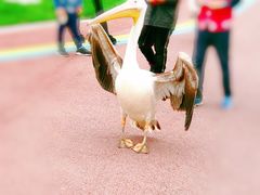 -黄龙溪欢乐田园
