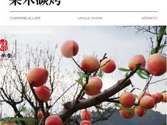 -炑羊香烤全羊(西三旗店)