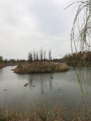 -水八仙生态园