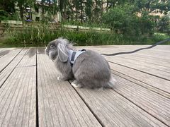 -兰溪青年公园