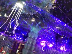 -琼菜王(南海店)