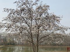 -仁和公园(顺义区)