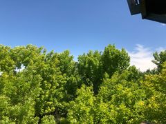 -东郊湿地公园