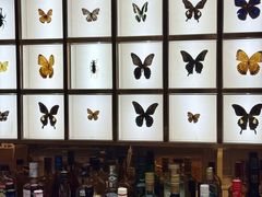 -145号U&Lounge Bar