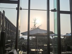 -逸廊大堂吧-下午茶·简餐-千岛湖自由洲际殿