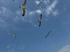 -海驴岛(荣成市)