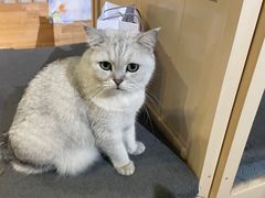 -小时光咖啡馆(开森度假森林店)