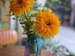 -蝶舍·MAISON PAPILLON