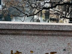 -青果巷历史文化街区