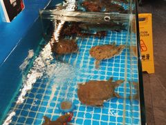 -鼎原力量东北吊炉烧烤(幸福街店)