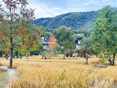 -塔川景区