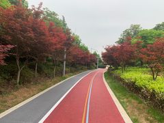 -澹台湖公园