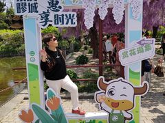 -嘉定紫藤园