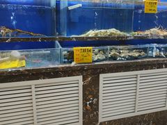 水产区-河马鲜生海鲜超市(风荷园店)