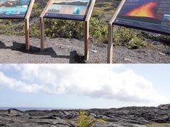 -夏威夷火山国家公园