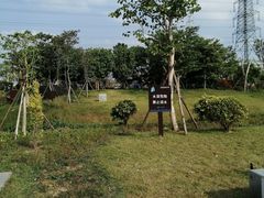 -王借岗森林公园
