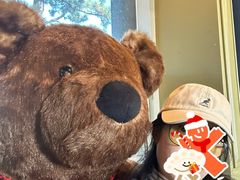 -济州岛泰迪熊博物馆