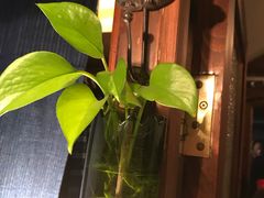 -铃木食堂(帽儿胡同店)