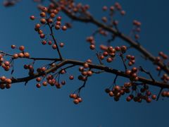 -舟山希尔顿酒店