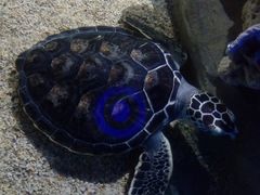 -石林冰雪海洋世界