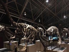 -世界恐龙谷景区