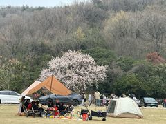 -南北湖风景区