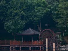 -重庆彩云湖湿地公园