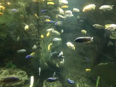 -厦门海底世界