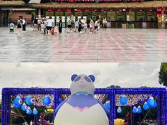 -杭州野生动物世界