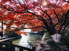 -知味观(湖滨总店)