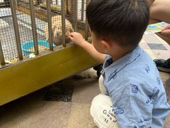 -青岛鑫江温德姆酒店