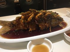 老济南糖醋鲤鱼-金春禧(世茂国际广场店)